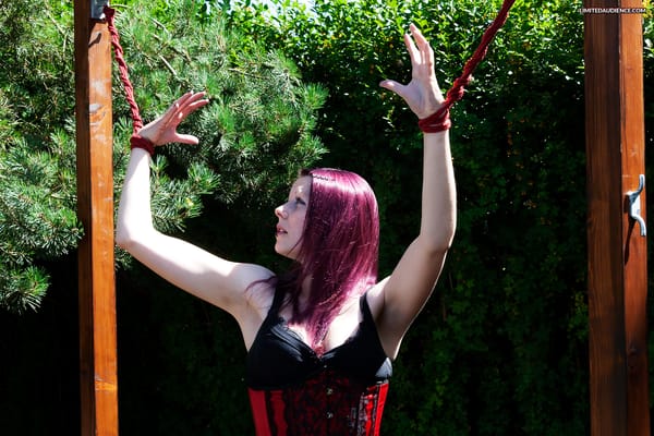 Burglar's Punishment 2 – Elyssia, Violet Reign