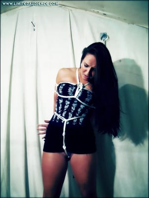 Brick Torment – Sammie B