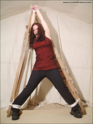 Ladder – Elladee